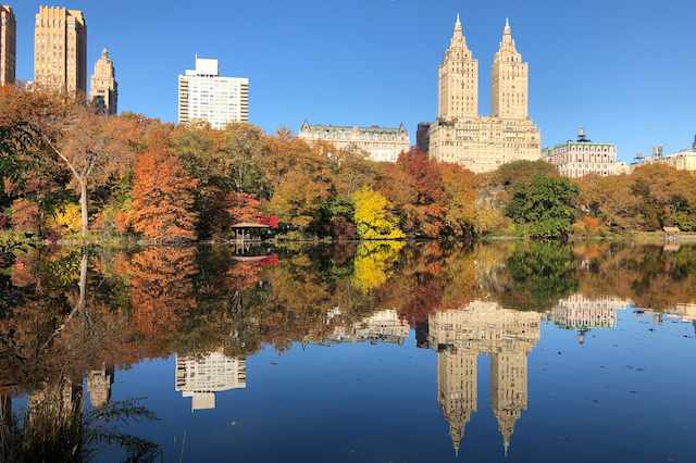 Visiter les parcs à New York