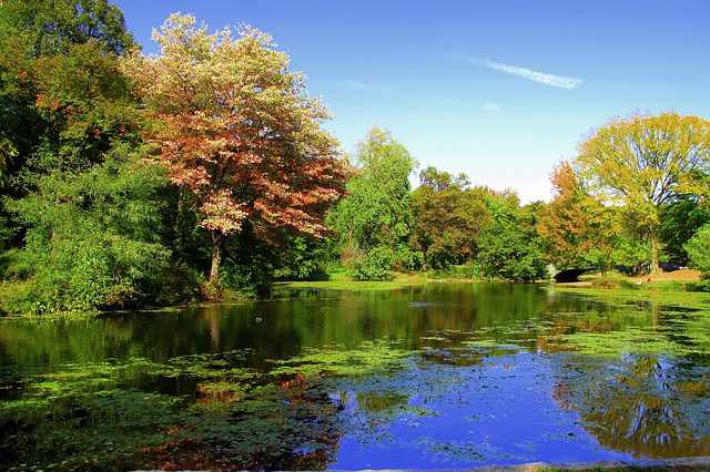 Prospect Park