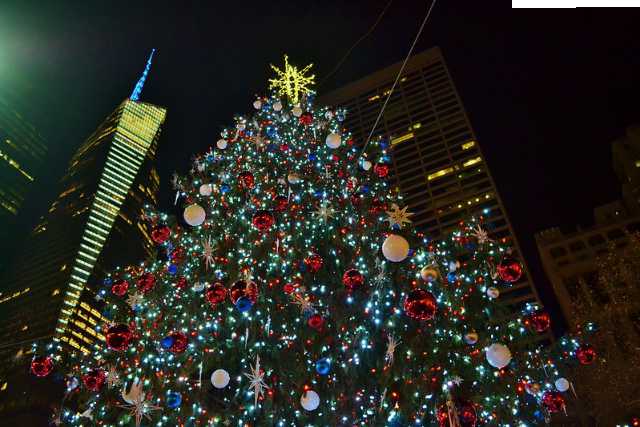 Arbre de noël