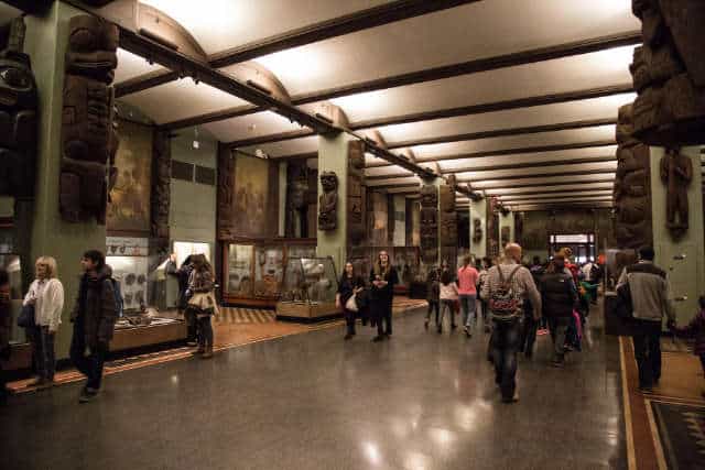 Musée d'Histoire Naturelle 7 Exposition Homme et Civilisations