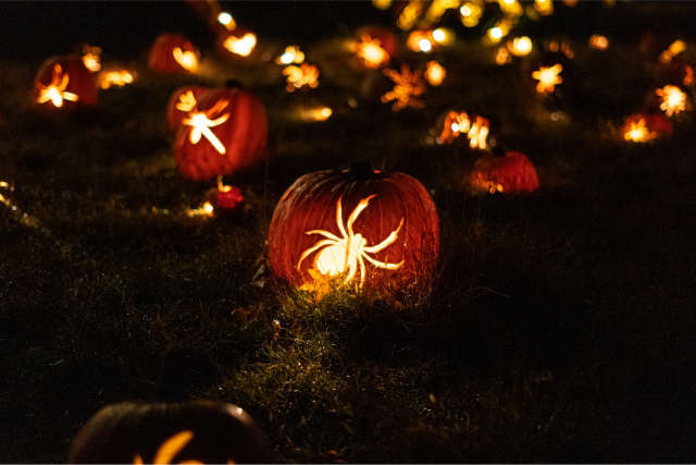 Halloween à New York 