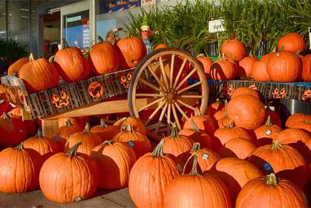 Halloween Harvest Festival