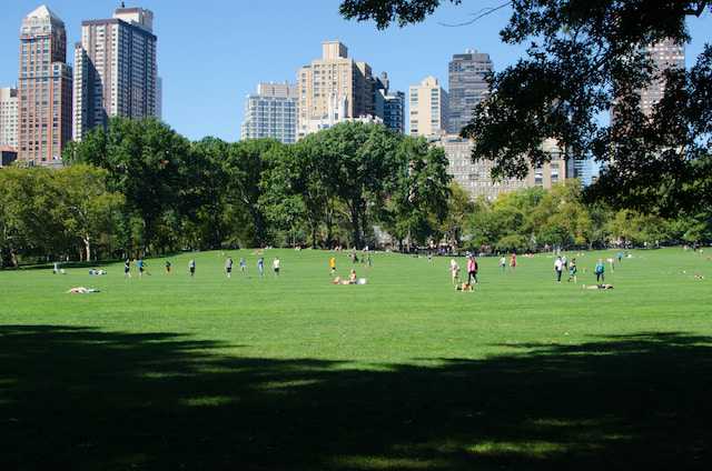Sheep Meadow Central Park