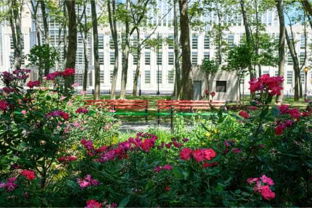 Cadman Plaza Park
