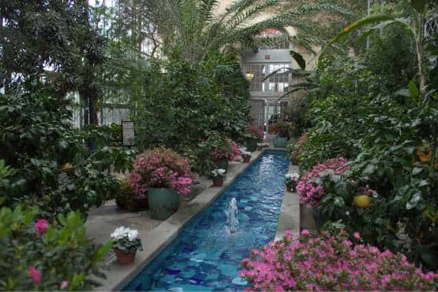Jardin Botanique Brooklyn