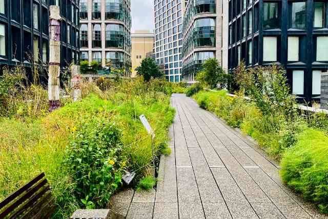 High Line 15 Plantes Vertes