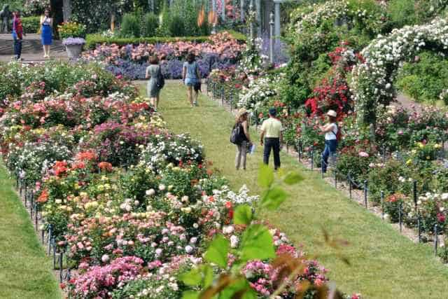 Que Faire avec des enfants à New York ? 8 Idées Sorties et Attractions 7 Jardin Botanique Brooklyn